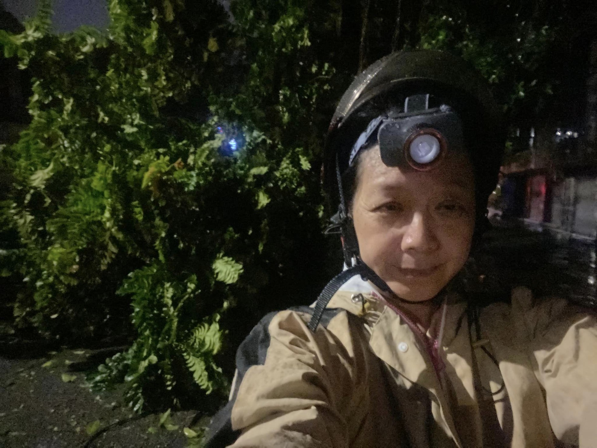 Cây xà cừ trăm tuổi bật gốc, cảnh nát tan ở nhà nhiều nghệ sĩ Việt-16