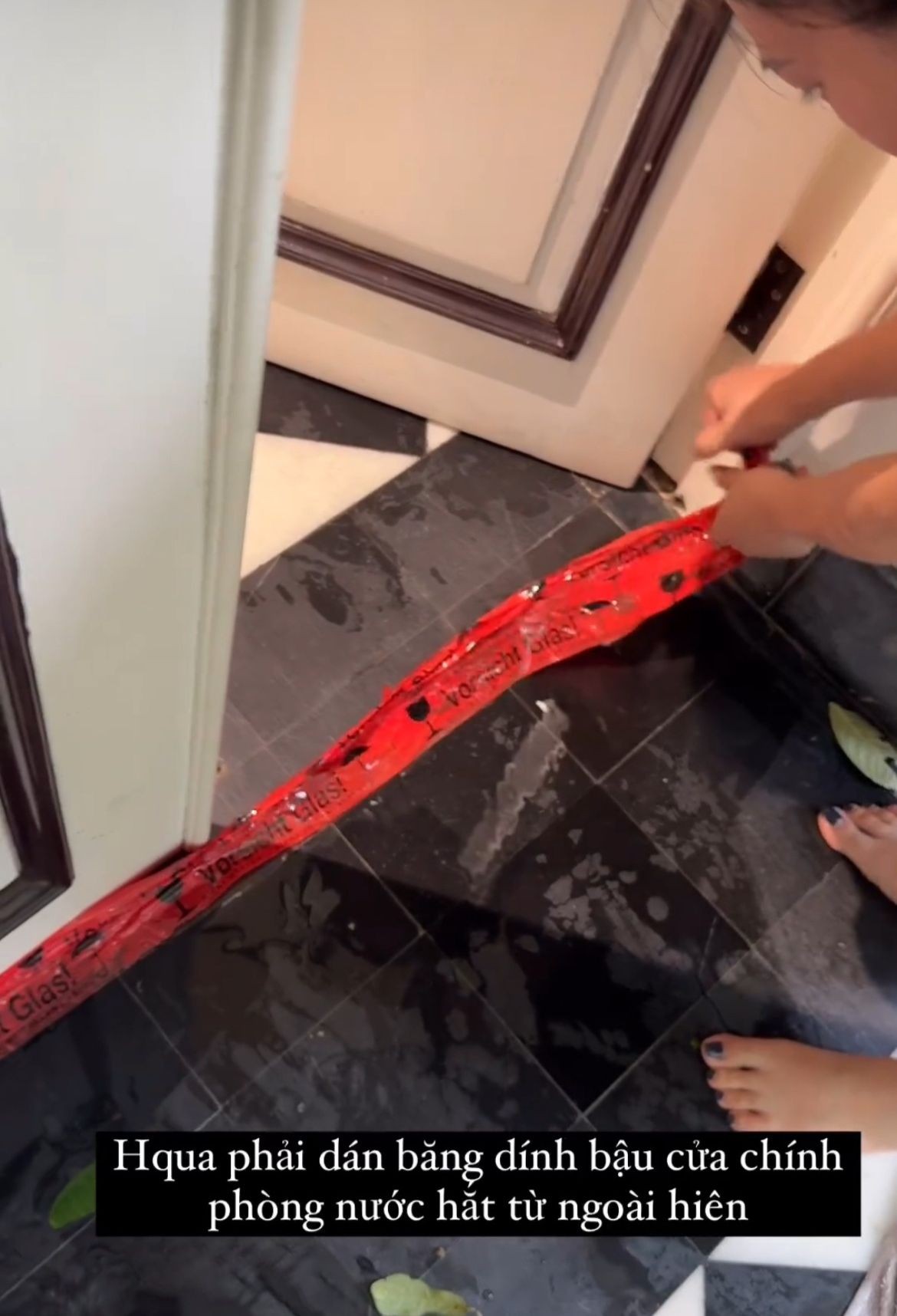 Cây xà cừ trăm tuổi bật gốc, cảnh nát tan ở nhà nhiều nghệ sĩ Việt-11