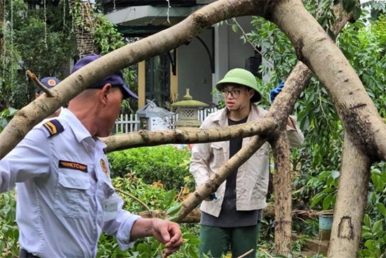 Cây xà cừ trăm tuổi bật gốc, cảnh nát tan ở nhà nhiều nghệ sĩ Việt