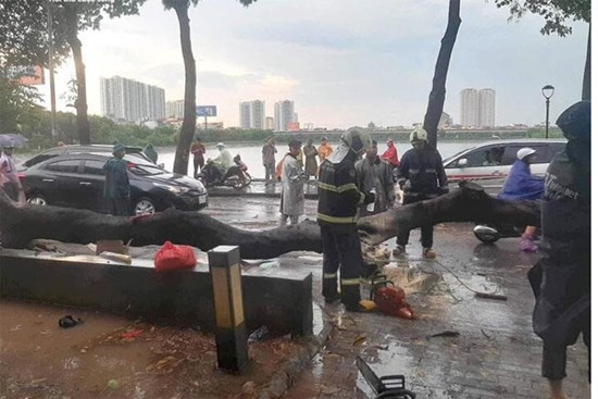 Xót xa người mẹ bị cây phượng bật gốc đè thiệt mạng, bỏ lại 3 con bơ vơ