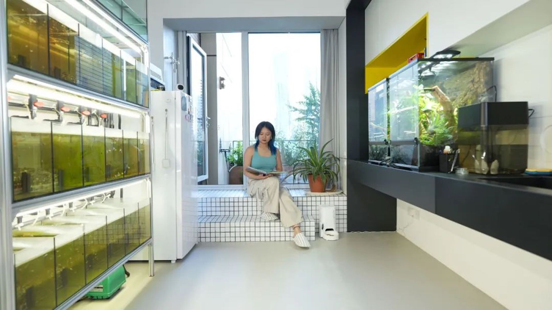 Cô gái quyết phá tường, biến căn tập thể cũ bố mẹ tặng thành nơi ở ngập nắng-5