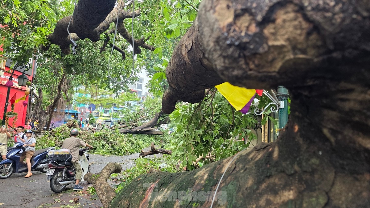 Đường phố Hà Nội vẫn ngổn ngang cây đổ, người dân chật vật tim đường đến công sở-11