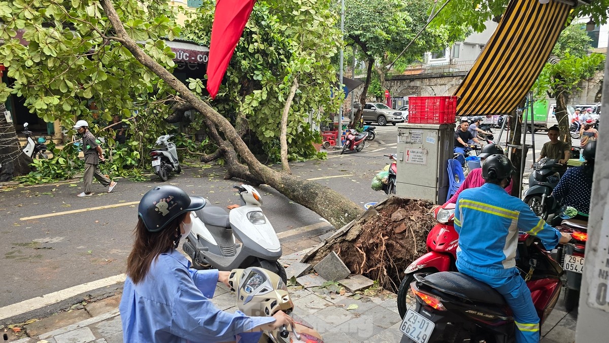 Đường phố Hà Nội vẫn ngổn ngang cây đổ, người dân chật vật tim đường đến công sở-3