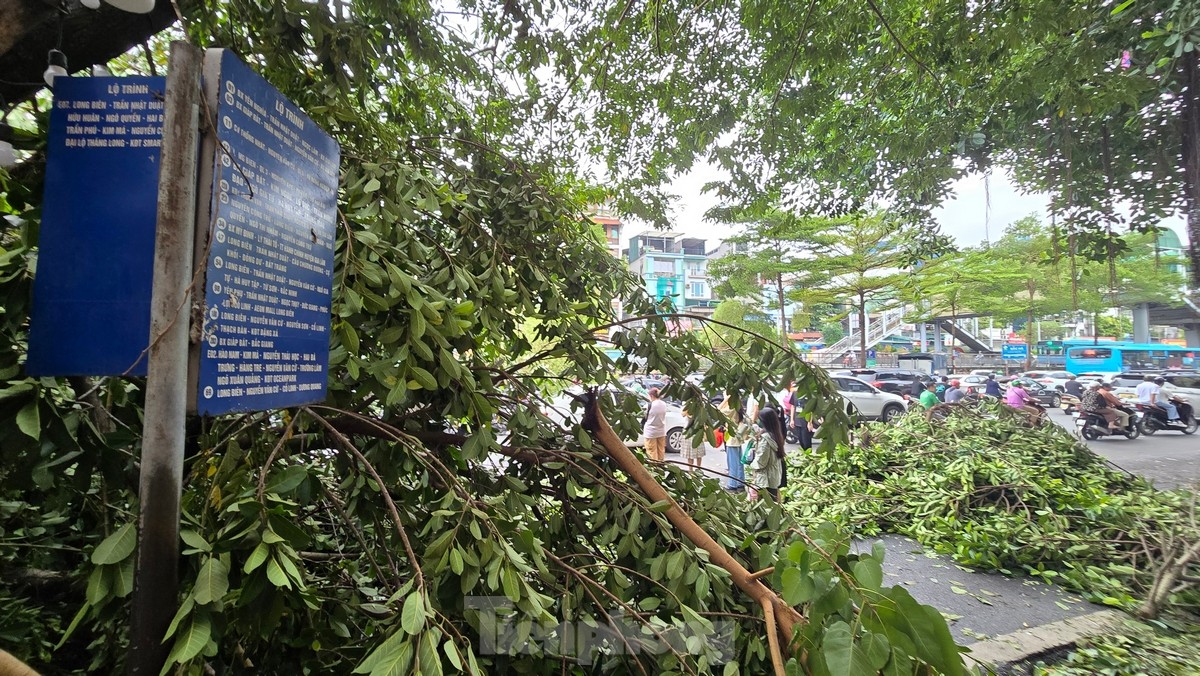 Đường phố Hà Nội vẫn ngổn ngang cây đổ, người dân chật vật tim đường đến công sở-13