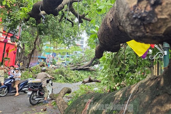 Đường phố Hà Nội vẫn ngổn ngang cây đổ, người dân chật vật tim đường đến công sở