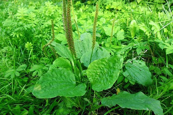 7 việc ít tốn kém giúp trì hoãn lão hóa hiệu quả-2