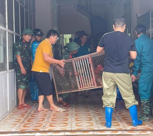 Trắng đêm chạy lũ ở Lạng Sơn-8