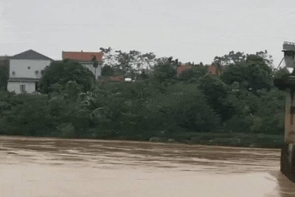 Sập cầu Phong Châu ở Phú Thọ, nhiều người và xe cộ rơi xuống sông