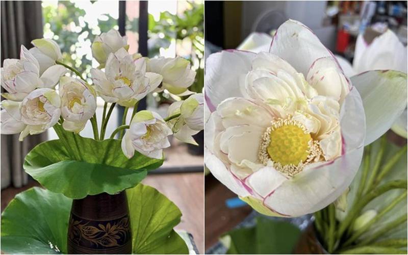 MC Diễm Quỳnh hiếm hoi khoe chồng U60, đang sống hạnh phúc trong căn nhà rực sắc hoa-6
