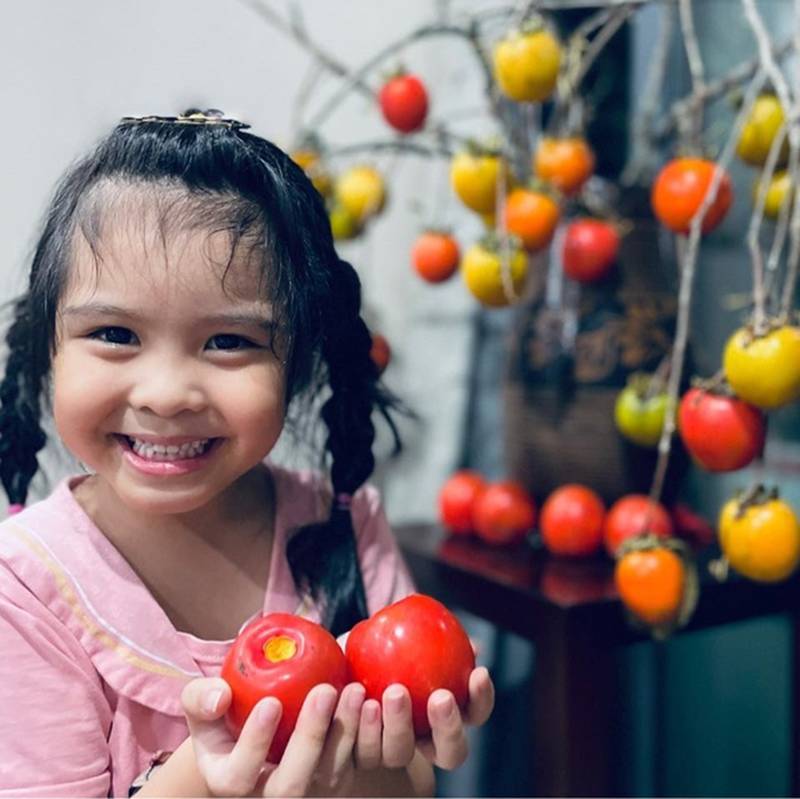 MC Diễm Quỳnh hiếm hoi khoe chồng U60, đang sống hạnh phúc trong căn nhà rực sắc hoa-16