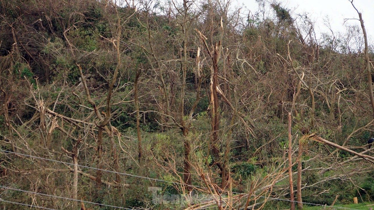 Cảnh tượng khủng khiếp ở đảo du lịch Cát Bà-3