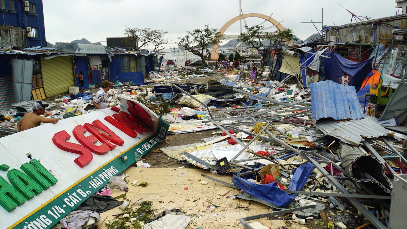 Cảnh tượng khủng khiếp ở đảo du lịch Cát Bà-4