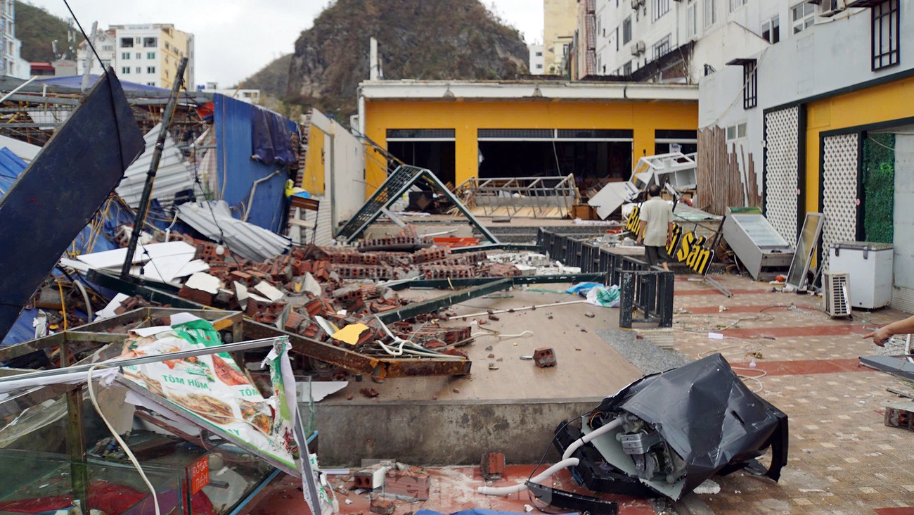 Cảnh tượng khủng khiếp ở đảo du lịch Cát Bà-5