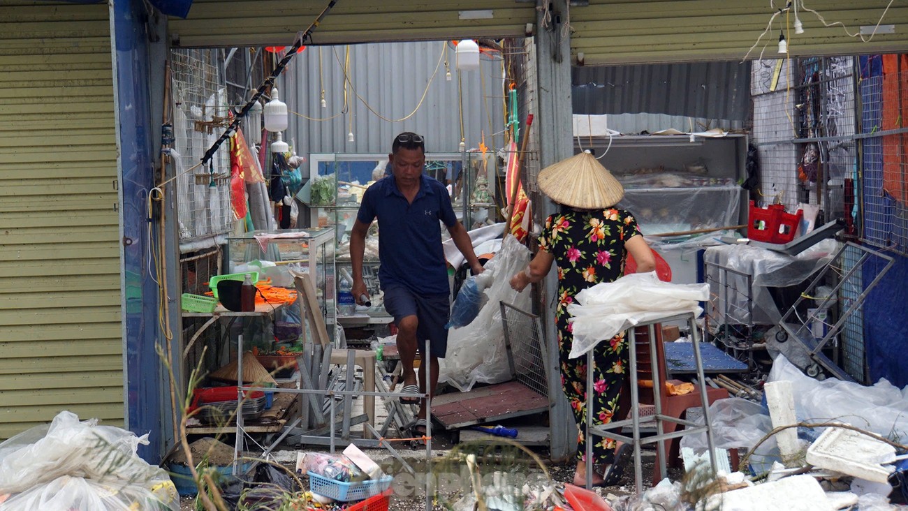 Cảnh tượng khủng khiếp ở đảo du lịch Cát Bà-6