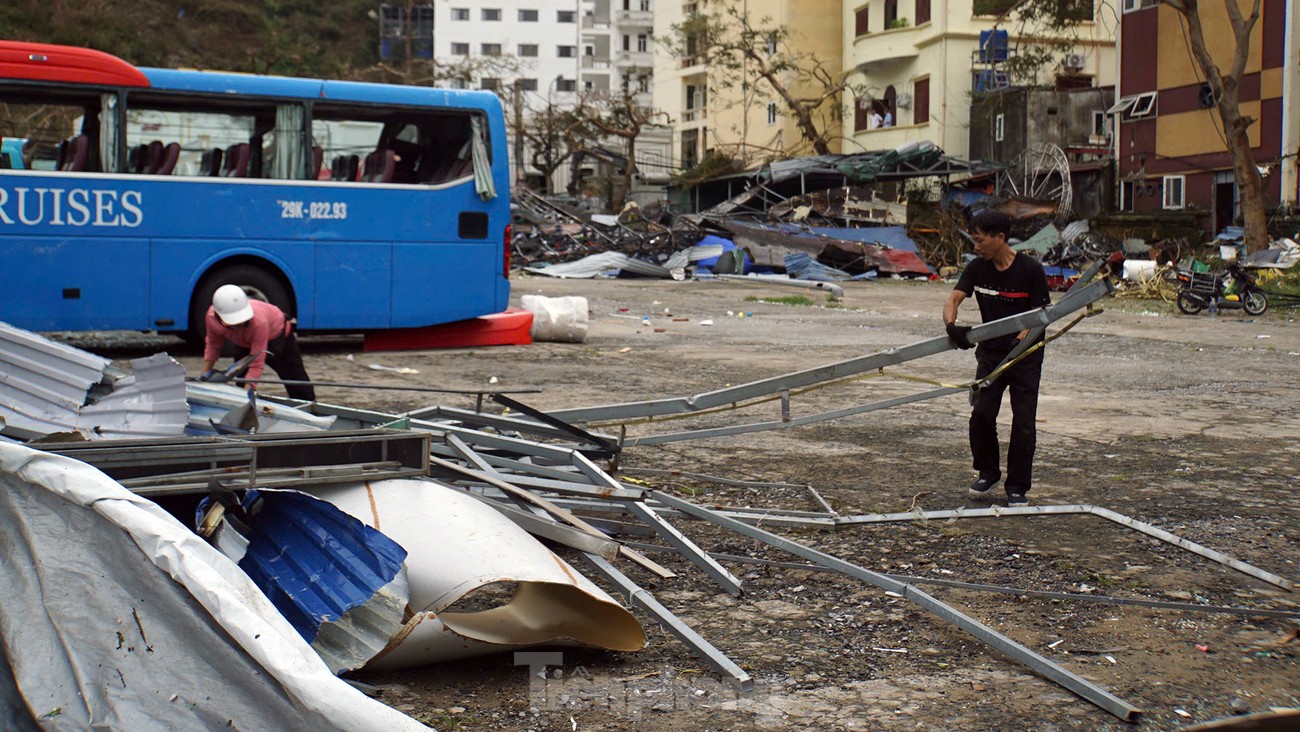 Cảnh tượng khủng khiếp ở đảo du lịch Cát Bà-7