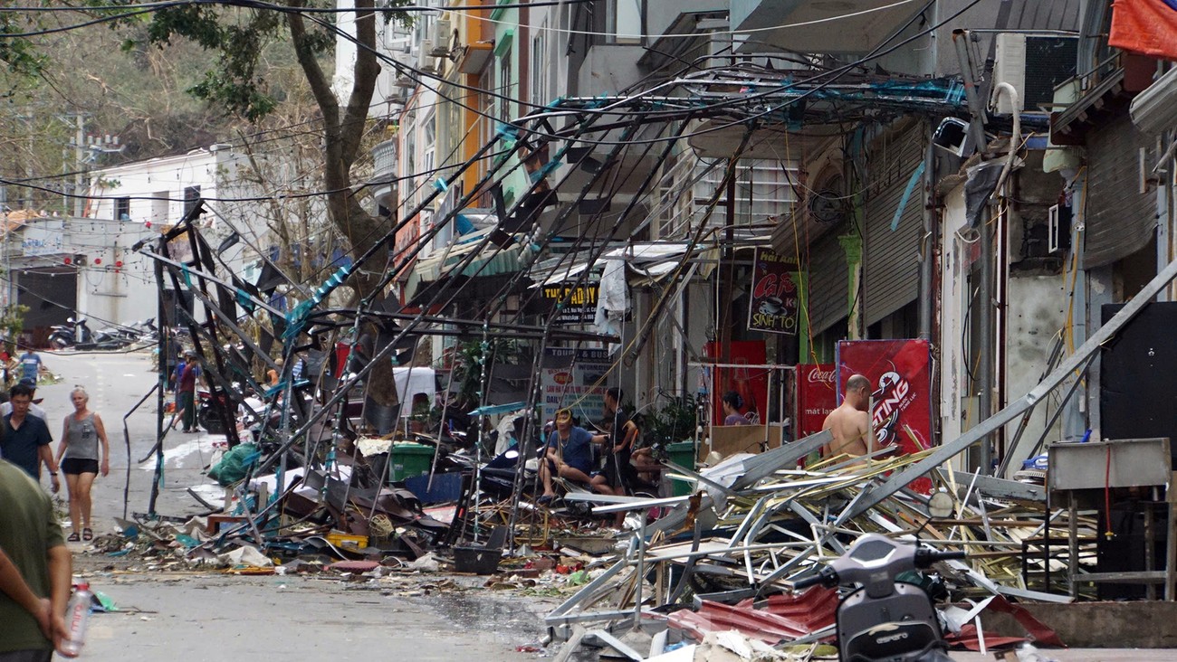 Cảnh tượng khủng khiếp ở đảo du lịch Cát Bà-9