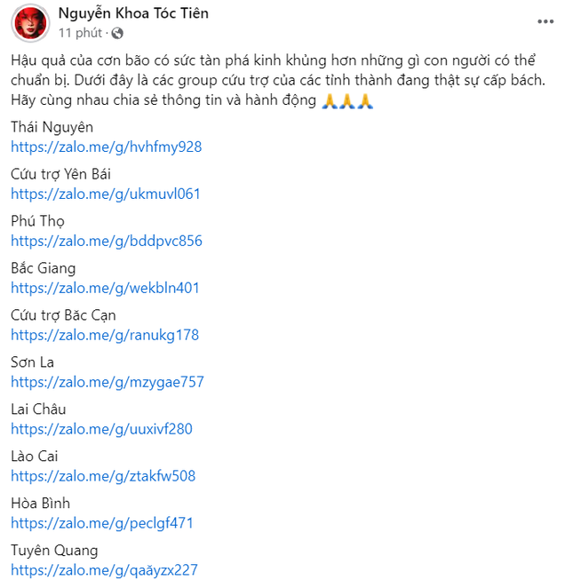 Dàn sao Việt chung tay hỗ trợ hơn 2,5 tỷ đồng gửi tới người dân vùng bão lũ-19