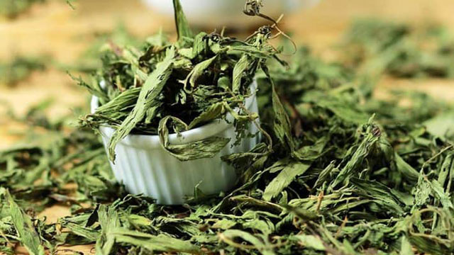 Bất ngờ loại cây có vị ngọt nhưng công dụng hạ đường huyết cực tốt, người bệnh tiểu đường nên dùng để kéo dài tuổi thọ-2