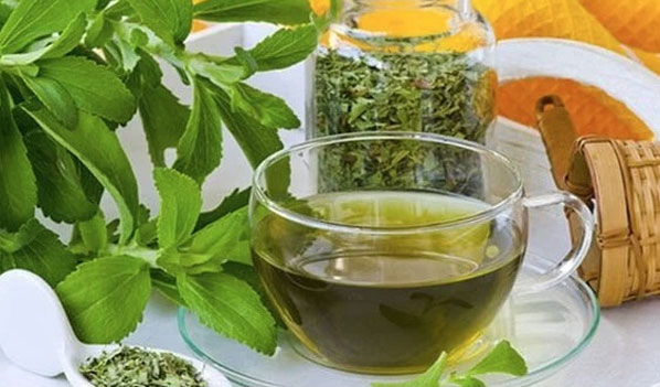 Bất ngờ loại cây có vị ngọt nhưng công dụng hạ đường huyết cực tốt, người bệnh tiểu đường nên dùng để kéo dài tuổi thọ-3