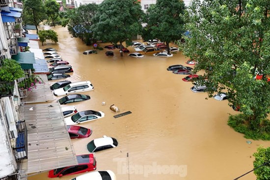 Nhiều tài sản bạc tỷ 'trồi lên' khi lũ rút ở Thái Nguyên