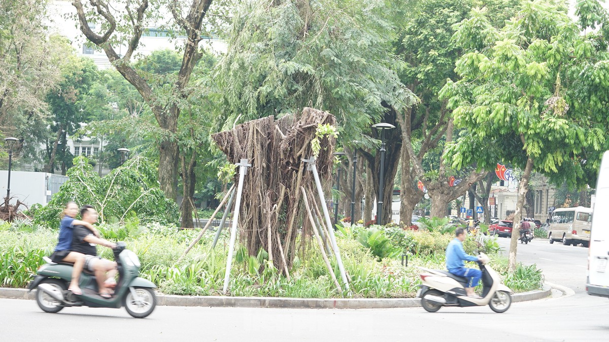 Khắc phục tình trạng cây xanh đổ ngổn ngang trên đường phố Hà Nội-14