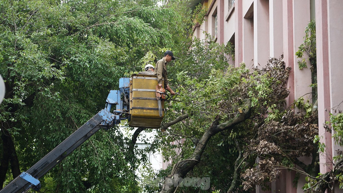 Khắc phục tình trạng cây xanh đổ ngổn ngang trên đường phố Hà Nội-4