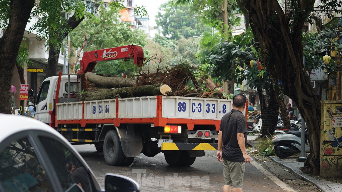 Khắc phục tình trạng cây xanh đổ ngổn ngang trên đường phố Hà Nội-6