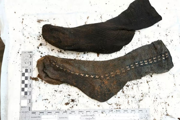 Mèo mất tích vượt hơn 1.200km tìm đường trở về đoàn tụ với chủ-2