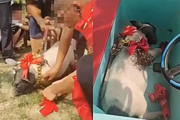 Người đàn ông kiếm bộn tiền nhờ công việc không ai ngờ ở đám cưới-3