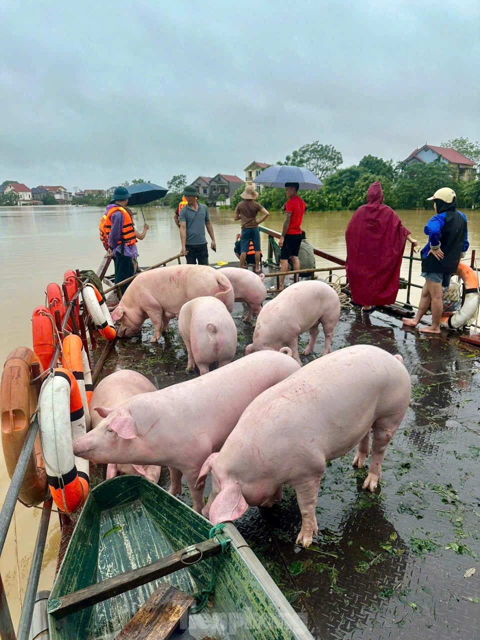 Nước ngập tới mái nhà, cả làng biến thành ốc đảo-8