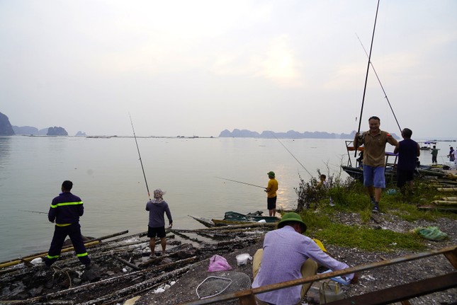 Nghề hot sau bão ở Hạ Long, ngồi chơi cũng kiếm tiền triệu-2