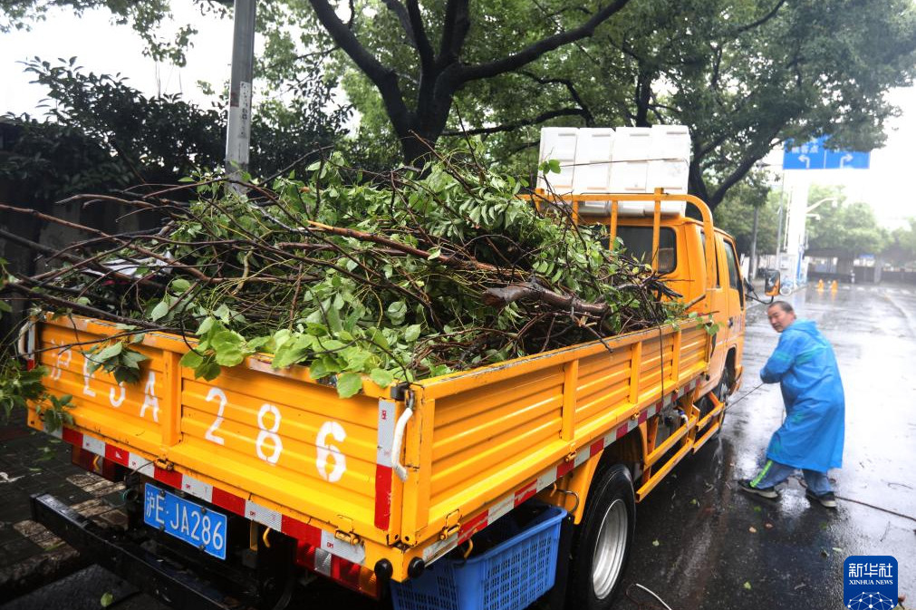 Cây đổ ngổn ngang, nhà cửa tan hoang vì bão mạnh nhất 75 năm càn quét Thượng Hải-11