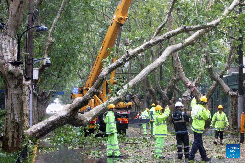 Cây đổ ngổn ngang, nhà cửa tan hoang vì bão mạnh nhất 75 năm càn quét Thượng Hải-9