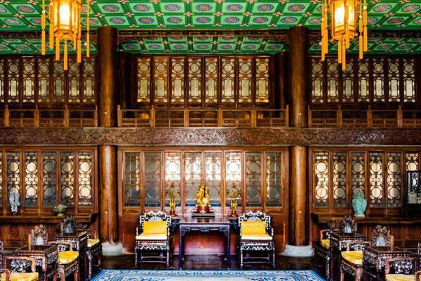 Kỳ lạ loài cây mọc ra tiền và sự thật đầy bất ngờ phía sau-5