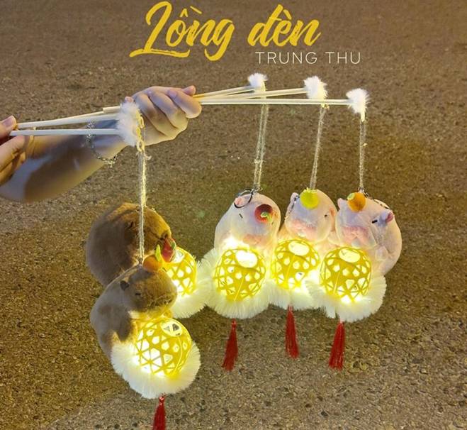 Những kiểu đèn, bánh trung thu độc lạ khiến dân mạng mắt chữ O mồm chữ A-1