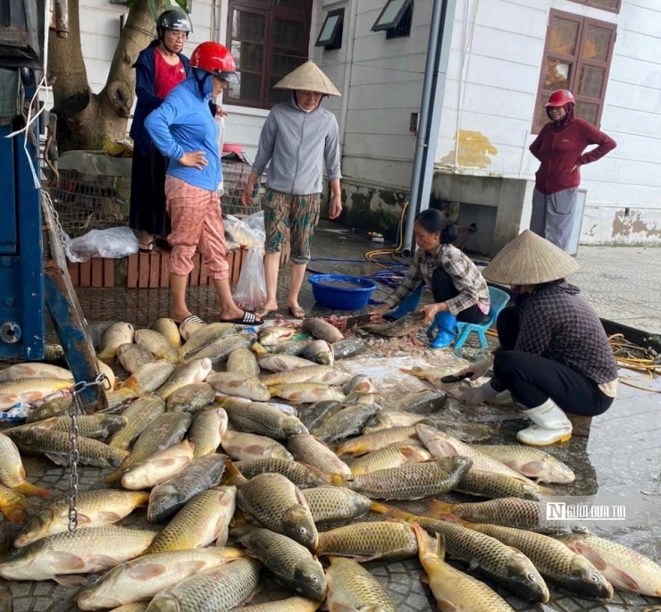 Tình người sau bão lũ: Những phi vụ giải cứu” hàng trăm tỷ đồng-2