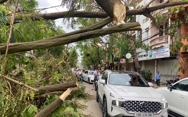 Hải Phòng cấm nhà trường vận động phụ huynh tài trợ sau bão số 3-1