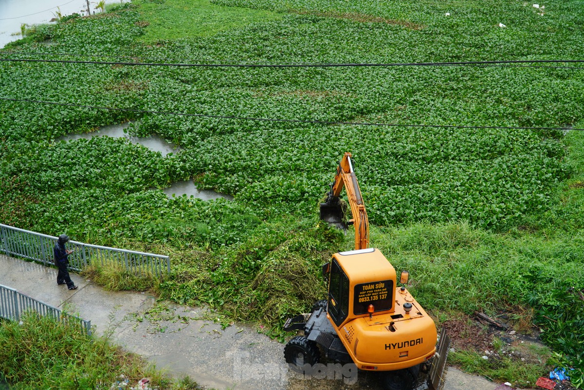 Nước bủa vây vùng rau lớn nhất Đà Nẵng sau mưa kéo dài, bà con không kịp trở tay-13