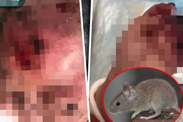 Mỹ nữ sống bẩn khiến chủ nhà sốc kinh hoàng-4