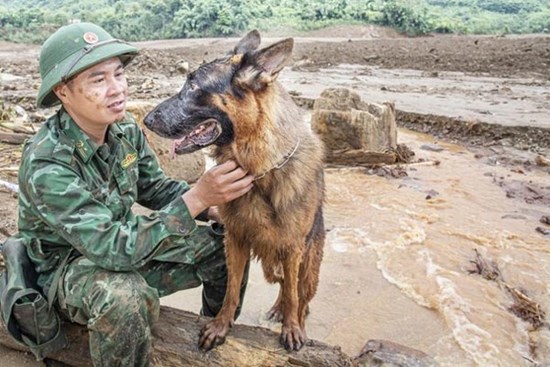 Vào Làng Nủ, gặp chú chó từng đi cứu hộ quốc tế