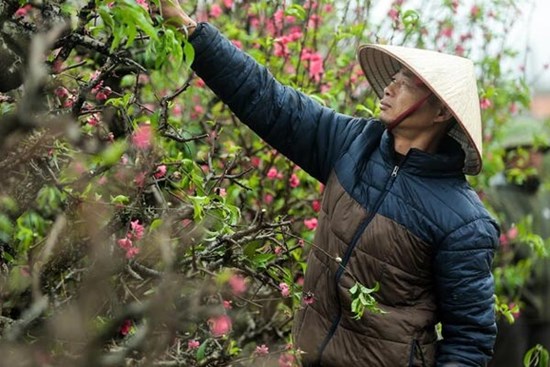 Bộ Nội vụ đồng ý đề xuất nghỉ 9 ngày Tết Nguyên đán 2025