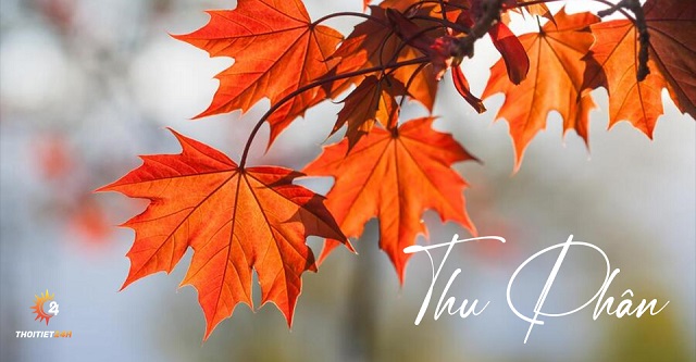 Tiết khí Thu Phân 2024 bắt đầu khi nào? Hai kiêng kỵ trong Ngày Thu Phân cần tránh để mang lại may mắn, tài lộc, sức khỏe-1