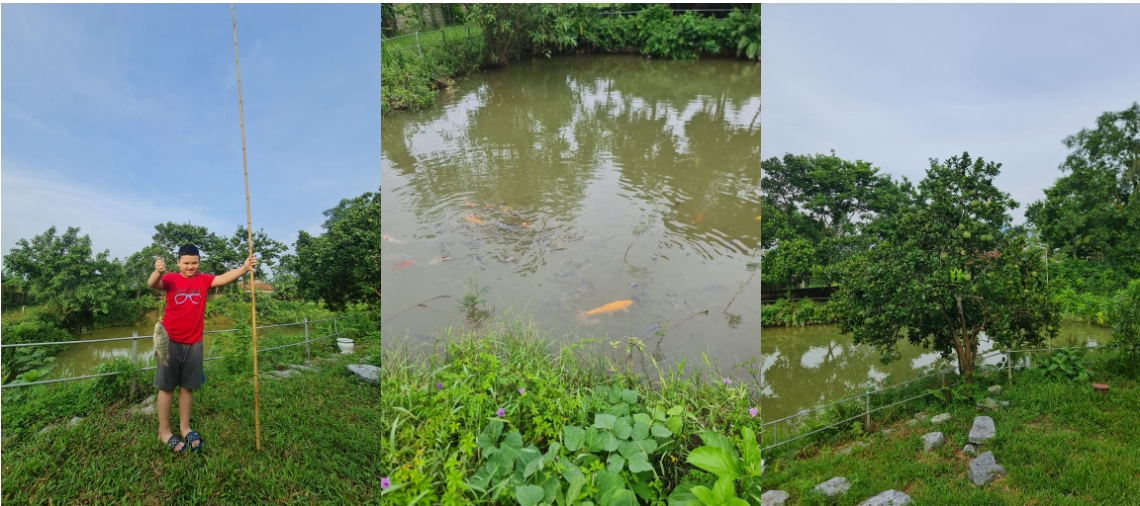Gia đình Hà Nội tậu 1.500m2 đất, làm nhà vườn đẹp mê ở ngoại ô-8