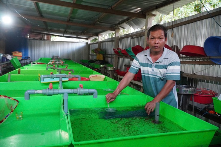 Bỏ 30 triệu khởi nghiệp, thầy giáo Bến Tre thu tiền tỷ mỗi năm nhờ nuôi lươn giống-1