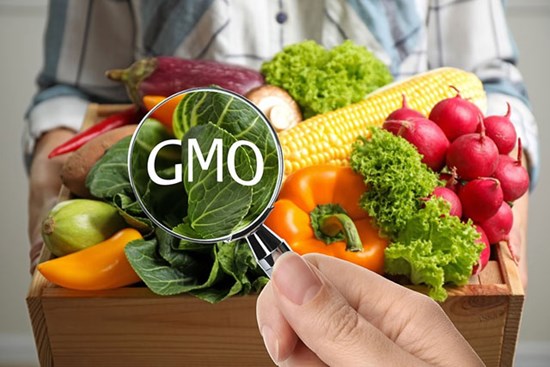 Ăn thực phẩm biến đổi gene có nguy cơ ung thư không?