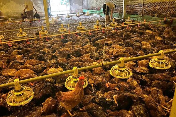 Mưa lớn từ Nghệ An vào Thừa Thiên - Huế, nhiều nơi ngập sâu, sạt lở-5