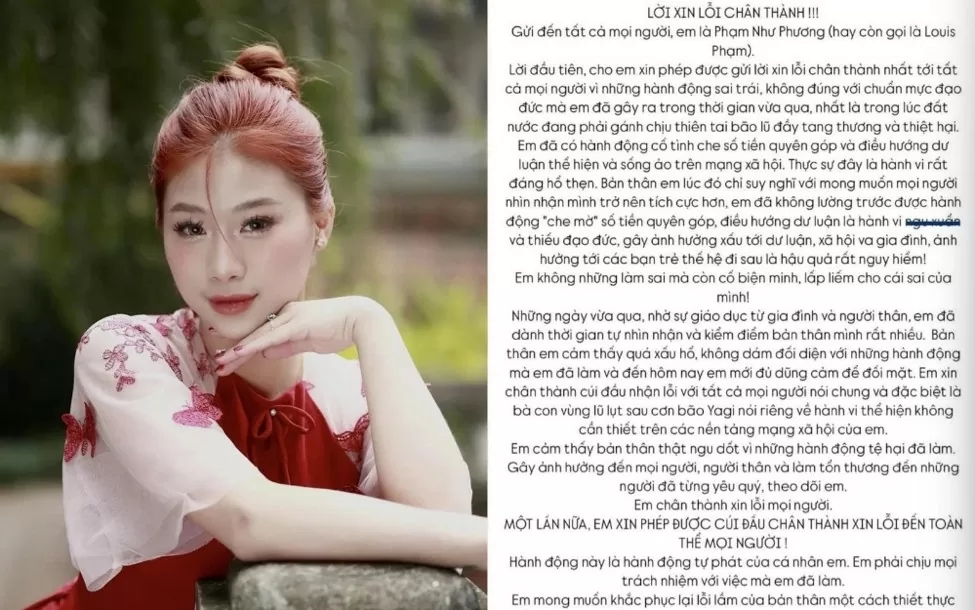 Louis Phạm lại giả dối trong xin lỗi: Đừng biến mình thành phiên bản Pinocchio-2