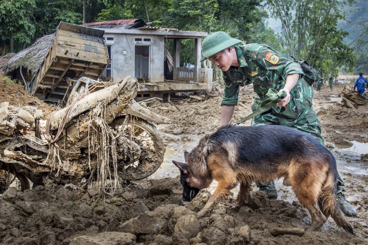 Cảm động những chú quân khuyển Biên phòng làm nhiệm vụ tại Làng Nủ-4