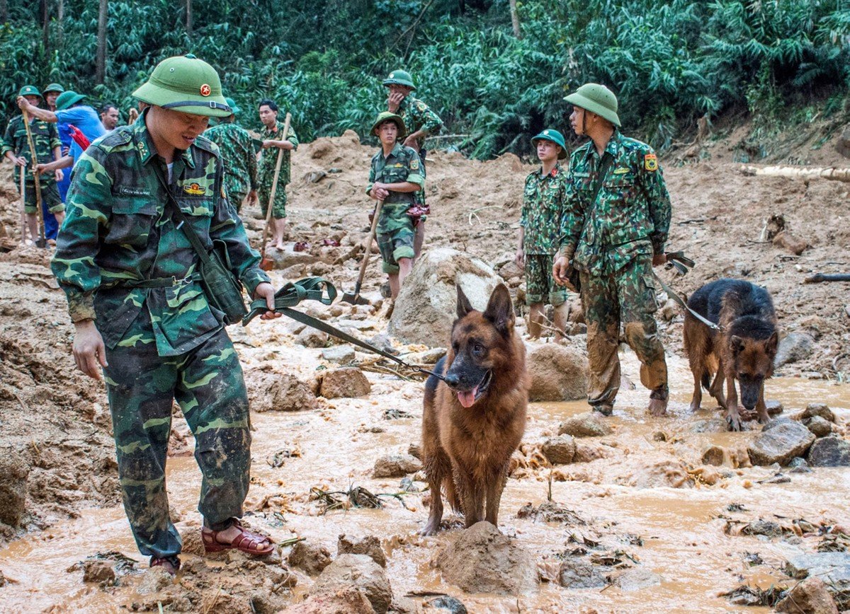 Cảm động những chú quân khuyển Biên phòng làm nhiệm vụ tại Làng Nủ-5