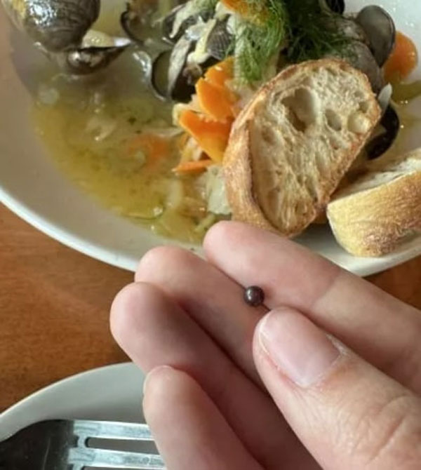 Ăn ngao xào tại nhà hàng hải sản, người đàn ông phát hiện viên ngọc hiếm-1